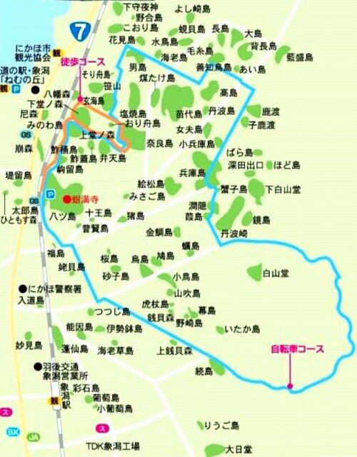 九十九島 （象潟「ねむの丘」） : くぐる鳥居は鬼ばかり