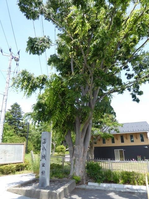 八戸城跡 三八城公園 くぐる鳥居は鬼ばかり 八戸城跡 三八城公園 くぐる鳥居は鬼ばかり