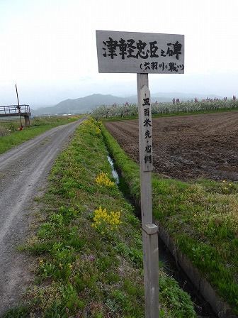 津軽忠臣之碑 ・ 田中太郎五郎戦死之跡 （平川市） : くぐる鳥居は鬼ばかり