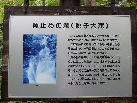 銚子大滝 （奥入瀬渓流） : くぐる鳥居は鬼ばかり