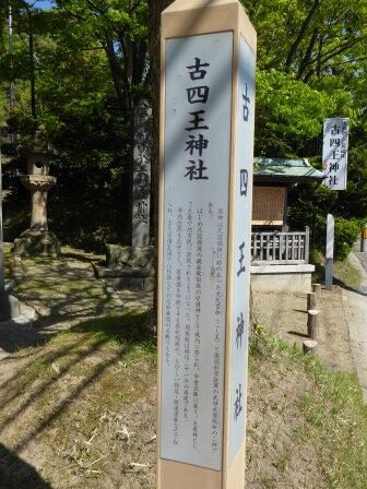 古四王神社 （秋田市） : くぐる鳥居は鬼ばかり