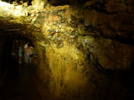 尾去沢鉱山 （慶長の坑道） : くぐる鳥居は鬼ばかり