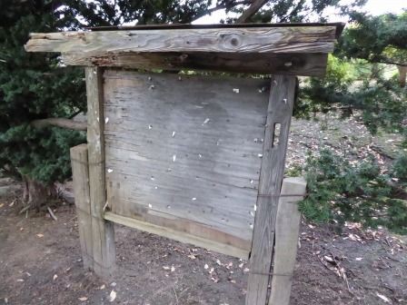 白龍大権現大神 稲蒼魂大神 十和田市深持 くぐる鳥居は鬼ばかり