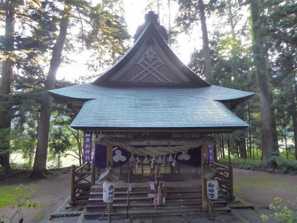 唐松神社 （大仙市） : くぐる鳥居は鬼ばかり