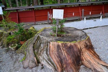 関刃物鍛冶工場 ナガサ 8寸 鋼安来鋼 青二鋼 皮シース付