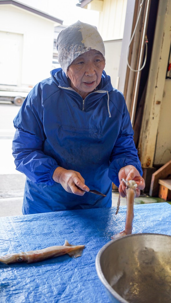 体験 イカ裂き 一夜干し作り 体験 沖汁ランチ 佐渡旅 Sadotabi