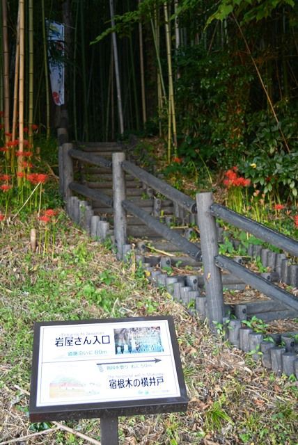 ジオパーク 農業用水の確保に集落の命運をかけた宿根木の横井戸 佐渡旅 Sadotabi