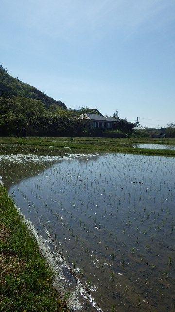 旅館ホテル 音楽と陶芸の宿 花の木 女将さんと朝ごはん 佐渡旅 Sadotabi