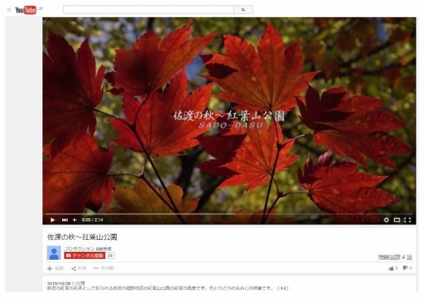 紅葉 佐渡の紅葉動画の紹介 紅葉山公園 佐渡旅 Sadotabi