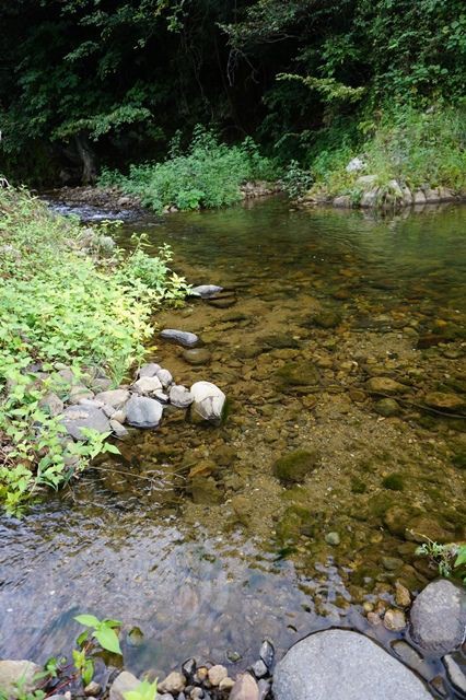 佐渡金山】西三川砂金山☆自然河川で砂金採り☆極秘採金術秘伝書を入手