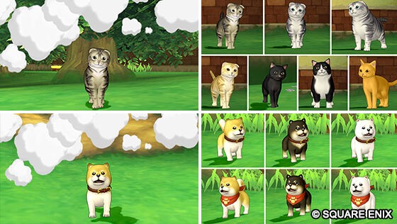 DQXショップに猫や犬の姿に変身できる「へんげの杖」が2026年2月20日
