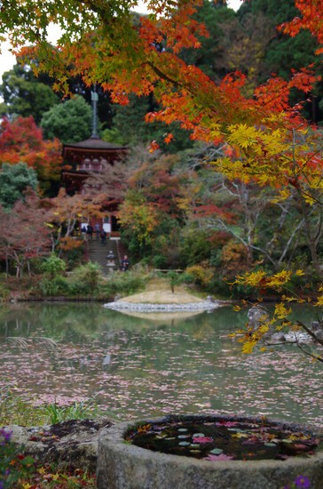 浄瑠璃寺庭園と三重塔 Saduuの写真館