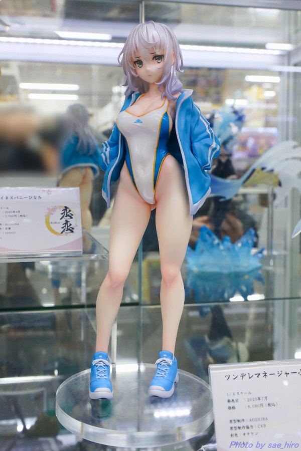 2025/1/25(土)に秋葉原でフィギュア撮影してきました : さえひろでいず