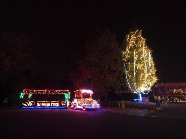 国営武蔵丘陵森林公園の紅葉ライトアップ きままに