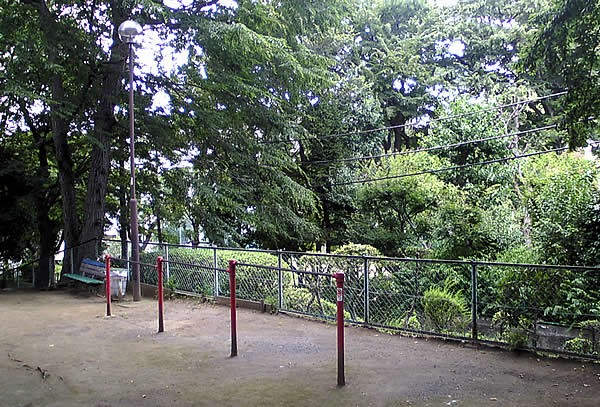 そろの木公園 白鷺 さぎのみや散歩日記