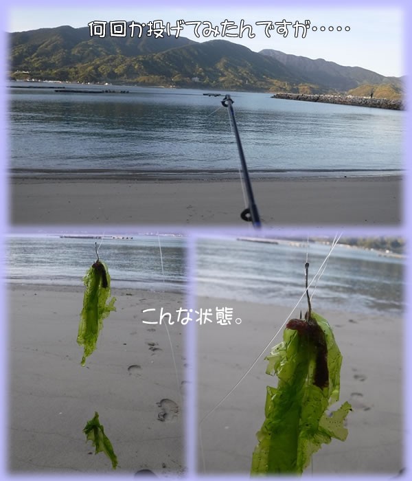 05 07 糸島 深江漁港に投げ釣りと探り釣り Sagurituri0322のblog