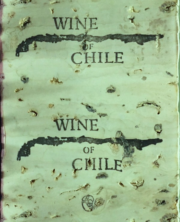San Pedro 1865 Selected Collection Desert Valley Syrah 2019 : Red