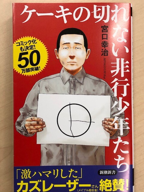 反省以前にあるもの ケーキの切れない非行少年たち を読んで 斎京四郎ブログ
