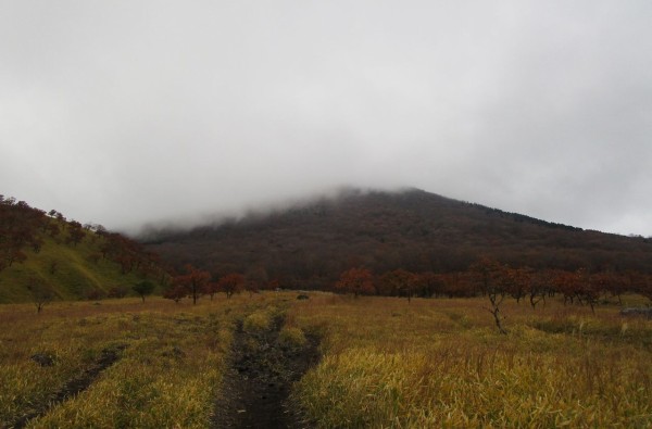 由布岳 紅葉も終わりかな 大分で遊ぼう