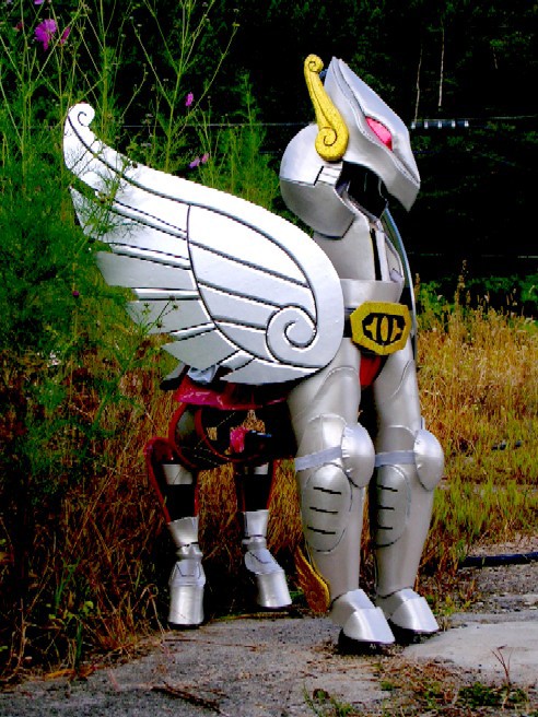 草原のペガサス 萌える小宇宙が人を殺める