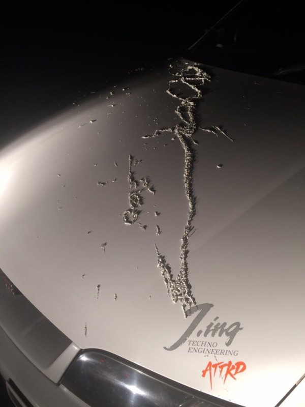 埼玉 剥離剤を車にかける被害 塗装がボロボロに 最新芸能ニュース