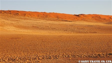 ナミブ砂漠 フェアリーサークル 妖精の輪 とは African Dream 西遊旅行チーム アフリカのスタッフブログ