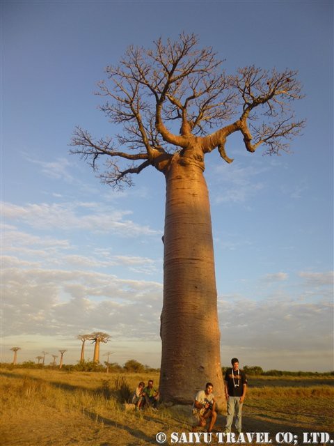 旅の楽しみは お土産 マダガスカル編 African Dream 西遊旅行チーム アフリカのスタッフブログ