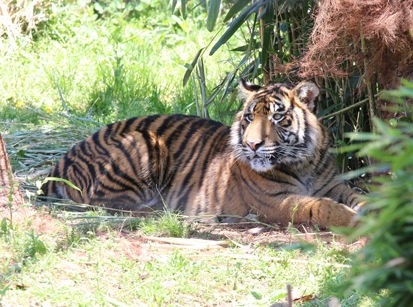 八木山動物園とベニーランドへ 山形県米沢市の写真スタジオ サカヰ写真館 サカヰ写真館 サカイ写真館 八木山動物園とベニーランドへ 山形県米沢市の写真スタジオ サカヰ写真館 サカヰ写真館 サカイ写真館