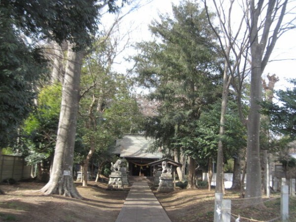 江戸川八十八ヶ所巡り⑤ : 坂道散歩