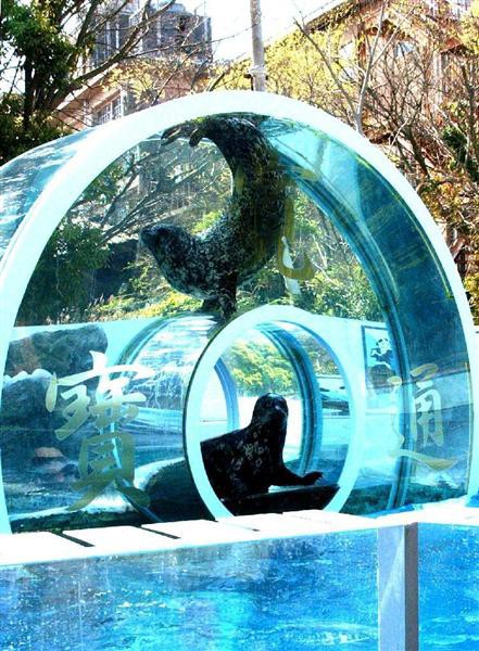 うどん県の山の上の水族館 今年閉館へ The Fish Times ザ フィッシュ タイムズ