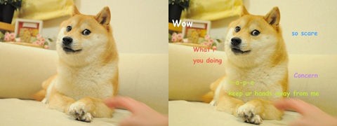 なぜ日本人の英語はヘタクソなのか 先っちょマンブログ