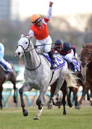 どう考えてもゴールドシップが一枚抜けてる件 競馬のまとめ