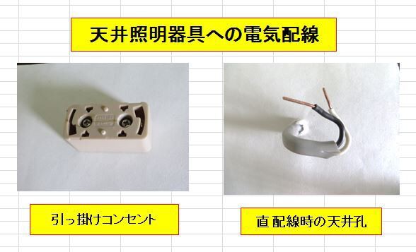 ゴキブリ ストア 天井 照明