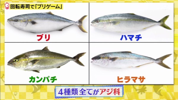 タモリ俱楽部 1月22日放送 どれがブリでどれがカンパチ ブリ似の魚だけの回転寿司で ブリゲーム Halohalo Online