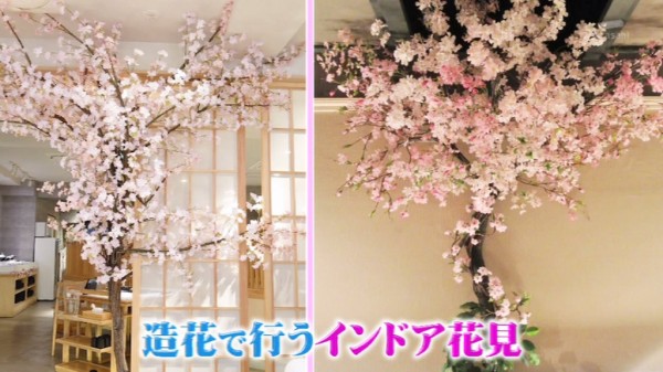 タモリ倶楽部 3月11日放送 職人技が百花繚乱 造花の桜でインドア花見 Halohalo Online タモリ倶楽部 3月11日放送 職人技が百花繚乱 造花の桜でインドア花見 Halohalo Online