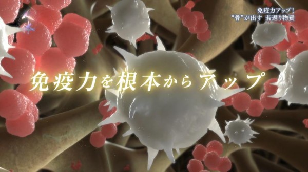 Nhkスペシャル 神秘の巨大ネットワーク 人体 1月7日放送 第3集 骨 が出す 最高の若返り物質 Halohalo Online