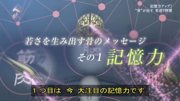 Nhkスペシャル 神秘の巨大ネットワーク 人体 1月7日放送 第3集 骨 が出す 最高の若返り物質 Halohalo Online