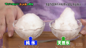 マツコの知らない世界 7月14日放送 かき氷の世界 Halohalo Online