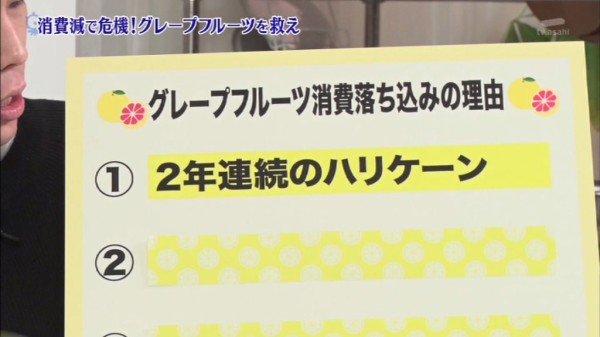 タモリ倶楽部 2月14日放送 グレープフルーツエイド Halohalo Online