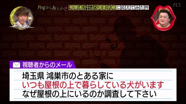 月曜から夜ふかし 2月5日放送 視聴者からの調査依頼 おばあちゃんと愛犬 ミルキー 働きすぎるラーメン屋 1歳 屋根の上の犬 Halohalo Online