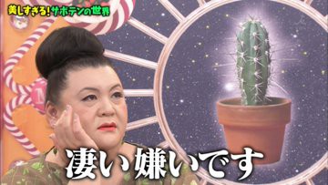 マツコの知らない世界 3月17日放送 サボテンの世界 Halohalo Online