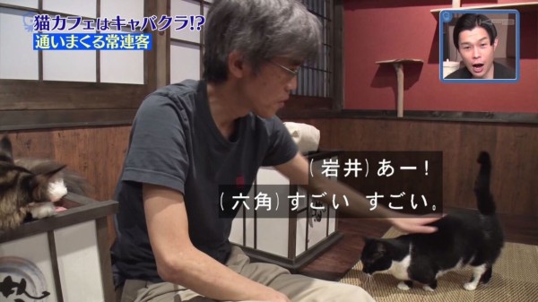 タモリ倶楽部 4月3日放送 猫カフェはキャバクラだ By ハライチ岩井 No 1かわい子ちゃんの落とし方 Halohalo Online タモリ倶楽部 4月3日放送 猫カフェはキャバクラだ By ハライチ岩井 No 1かわい子ちゃんの落とし方 Halohalo Online