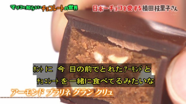 マツコの知らない世界 1月17日放送 チョコレートの世界part2 Halohalo Online