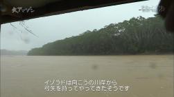 ｎｈｋスペシャル 大アマゾン 8月7日放送 第4集 最後のイゾラド Halohalo Online