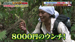 全世界極限サバイバル16 やらせ ありきとしても やっぱり見てしまうサバイバル Halohalo Online