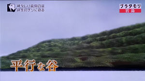 ブラタモリ 10月1日放送 宮島は 神の島 Halohalo Online ブラタモリ 10月1日放送 宮島は 神の島 Halohalo Online