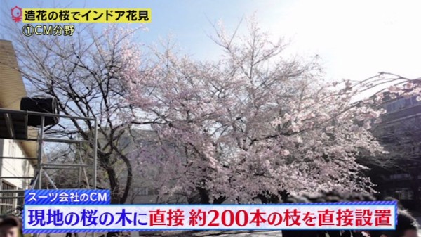 タモリ倶楽部 3月11日放送 職人技が百花繚乱 造花の桜でインドア花見 Halohalo Online タモリ倶楽部 3月11日放送 職人技が百花繚乱 造花の桜でインドア花見 Halohalo Online