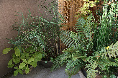 和風庭園風 風と光のバルコニー