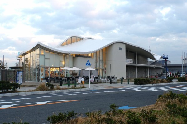 江の島ヨットハーバーの現在 浜昼顔の気ままな日記