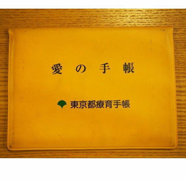 知的障害者では無いけど 発達障害者が東京都の愛の手帳 療育手帳 を取る裏ワザ 桜井のブログ